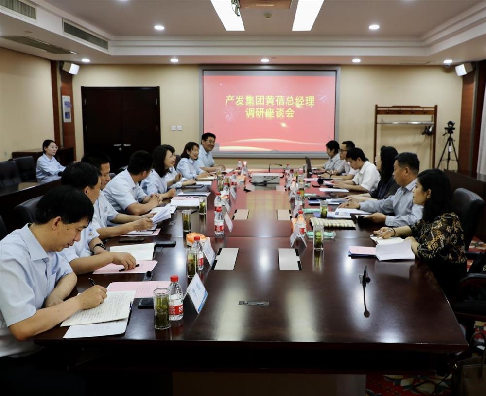 集团党委副书记、总经理黄蓓带队调研济南市工程咨询院